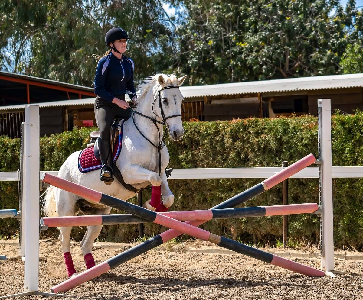 Obstacle De Saut Pour Hobby Horse - 120x120 Cm - 2 Barres De 50 Mm - En Bois De Pin