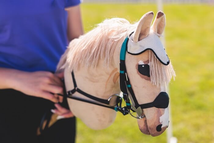 hobby horse réaliste