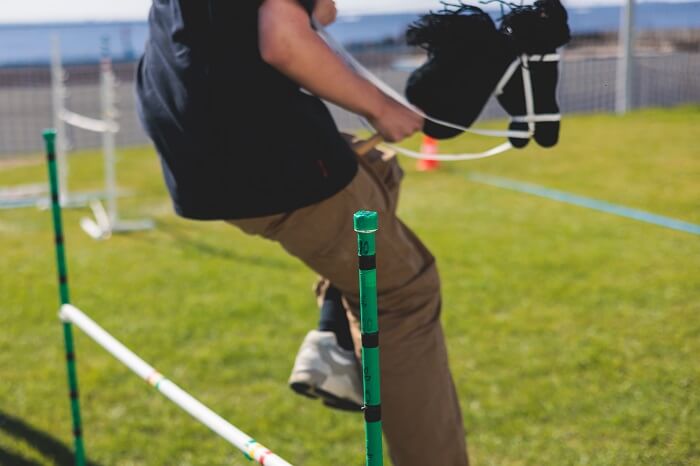 hobby horse sport