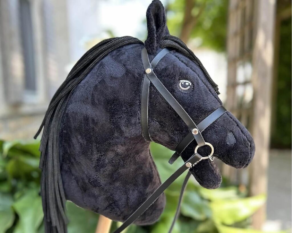 Hobby Horse Horse Academy